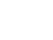Evolution Gaming logo
